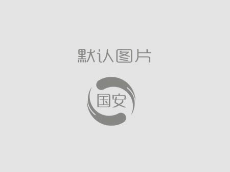 國(guó)安建設(shè)丨公司今年怎么干？